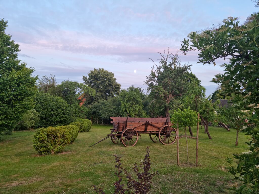 Bülten