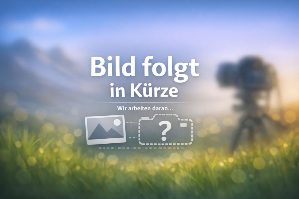 Bild folgt