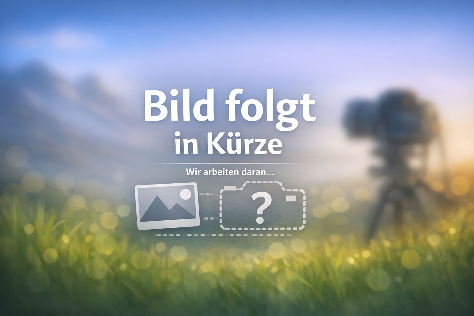 Bild folgt