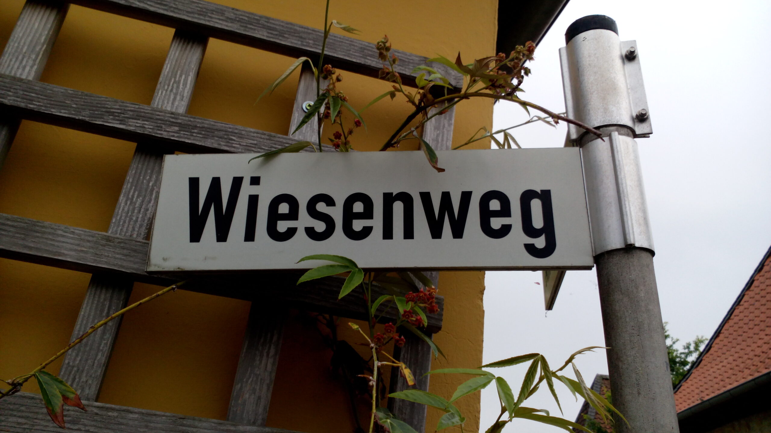 Wiesenweg