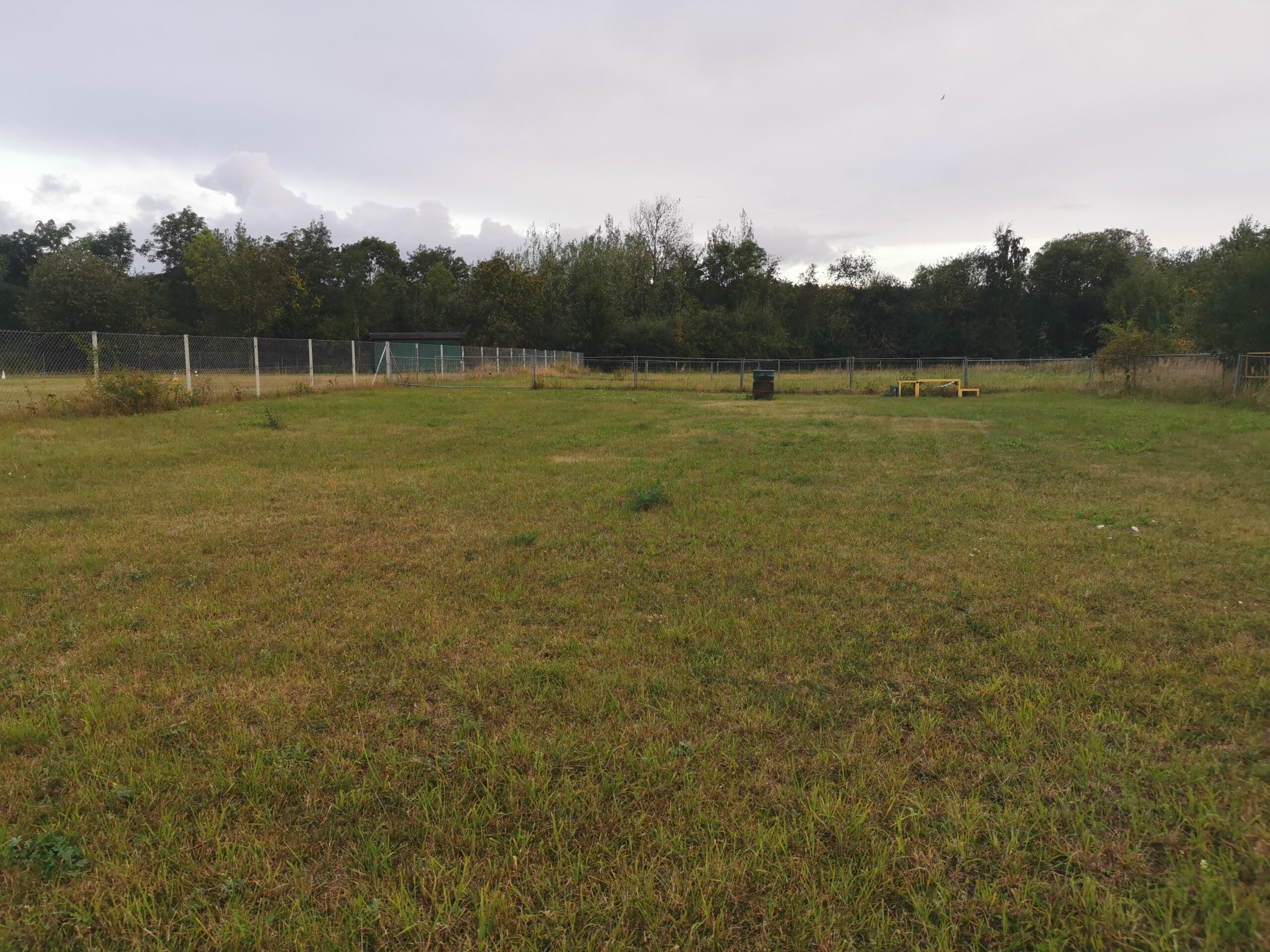 mariposa Hundeschule